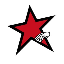 ESTRELLA COJA