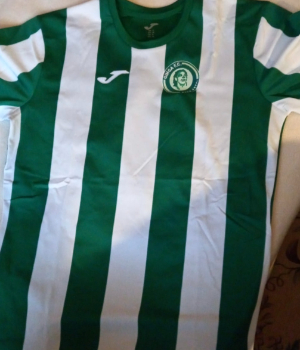 GINGA F.C. - uniforme 1