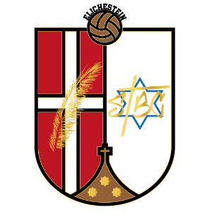 ELICHESTEIN