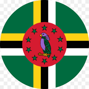 DOMINIQUI